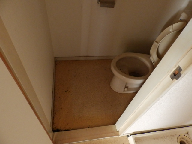 Toilet.  ※ Reform is a before photo of.