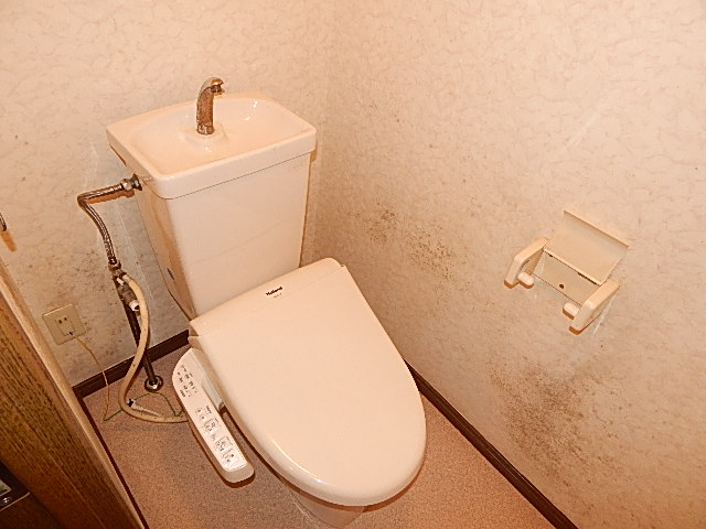 Toilet. Also safe with bidet winter ☆