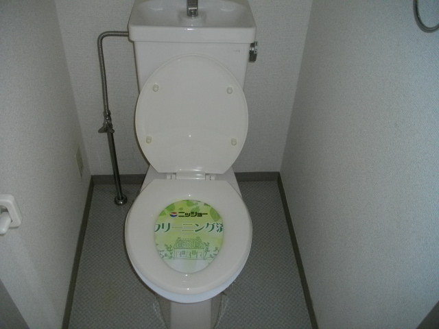 Toilet. Toilet