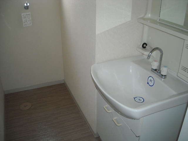 Washroom. Happy vanity there (B102 Room No.)