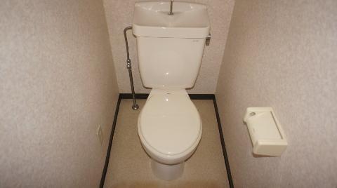 Toilet. WC