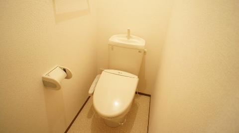 Toilet. WC