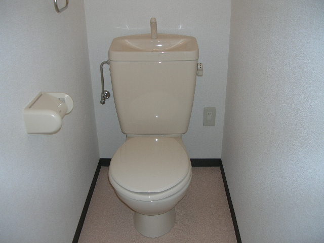 Toilet. Brightly, You calm