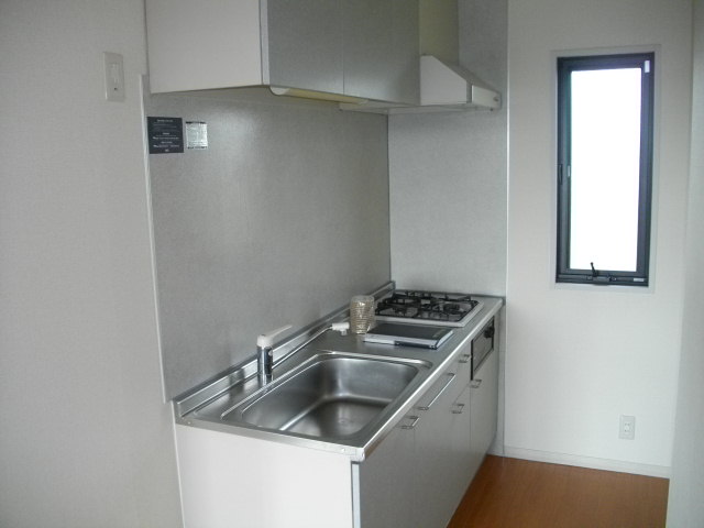 Kitchen. System kitchen (with gas stove)
