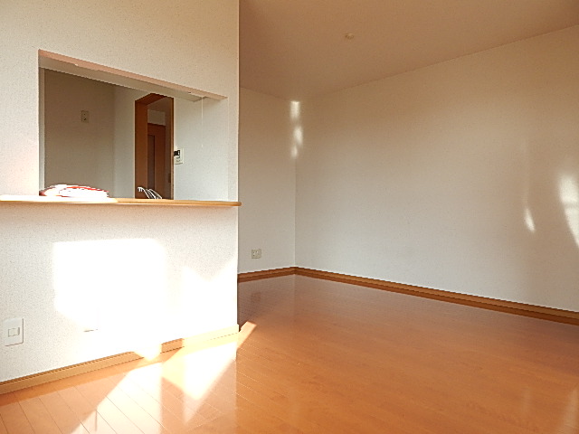 Living and room. Spacious room of the Pledge LDK13.9 flooring ^ 0 ^ /