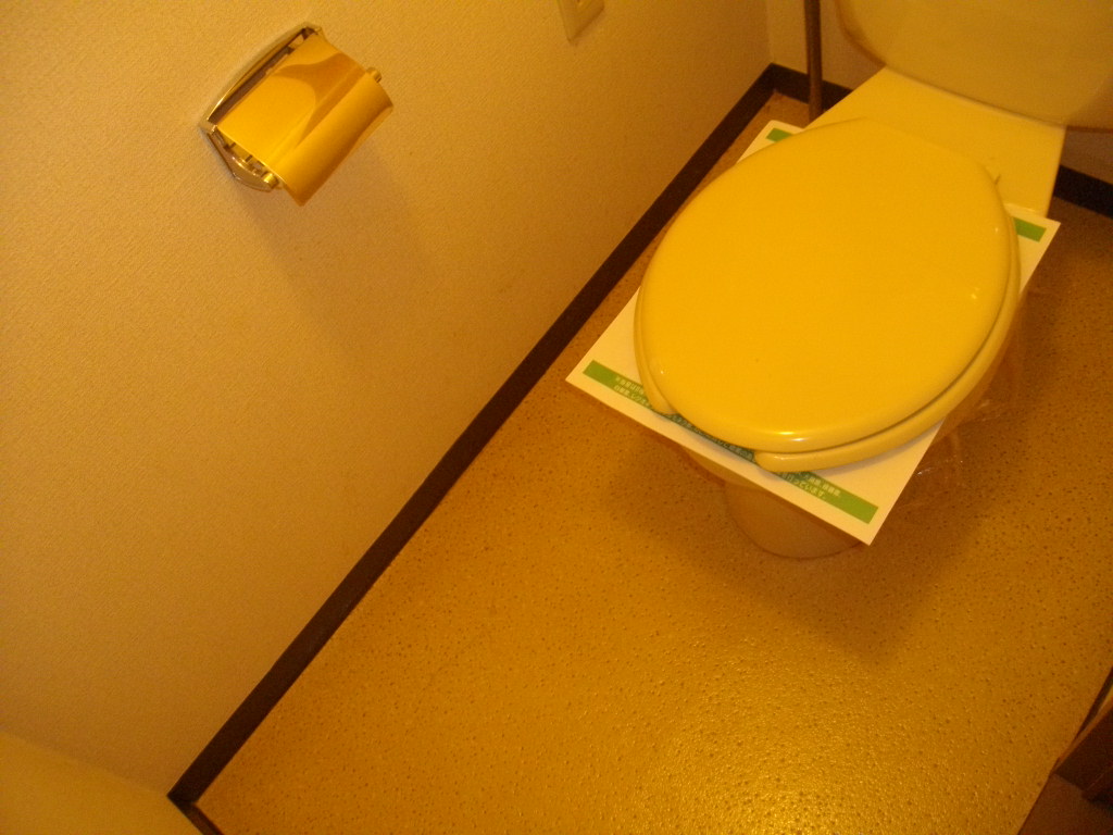 Toilet