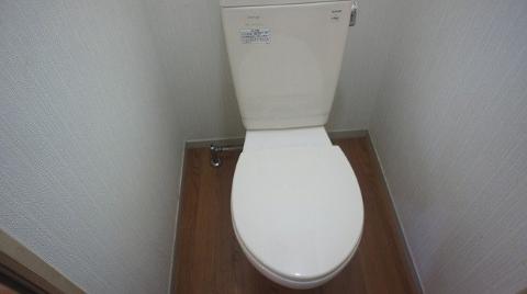 Toilet. Toilet