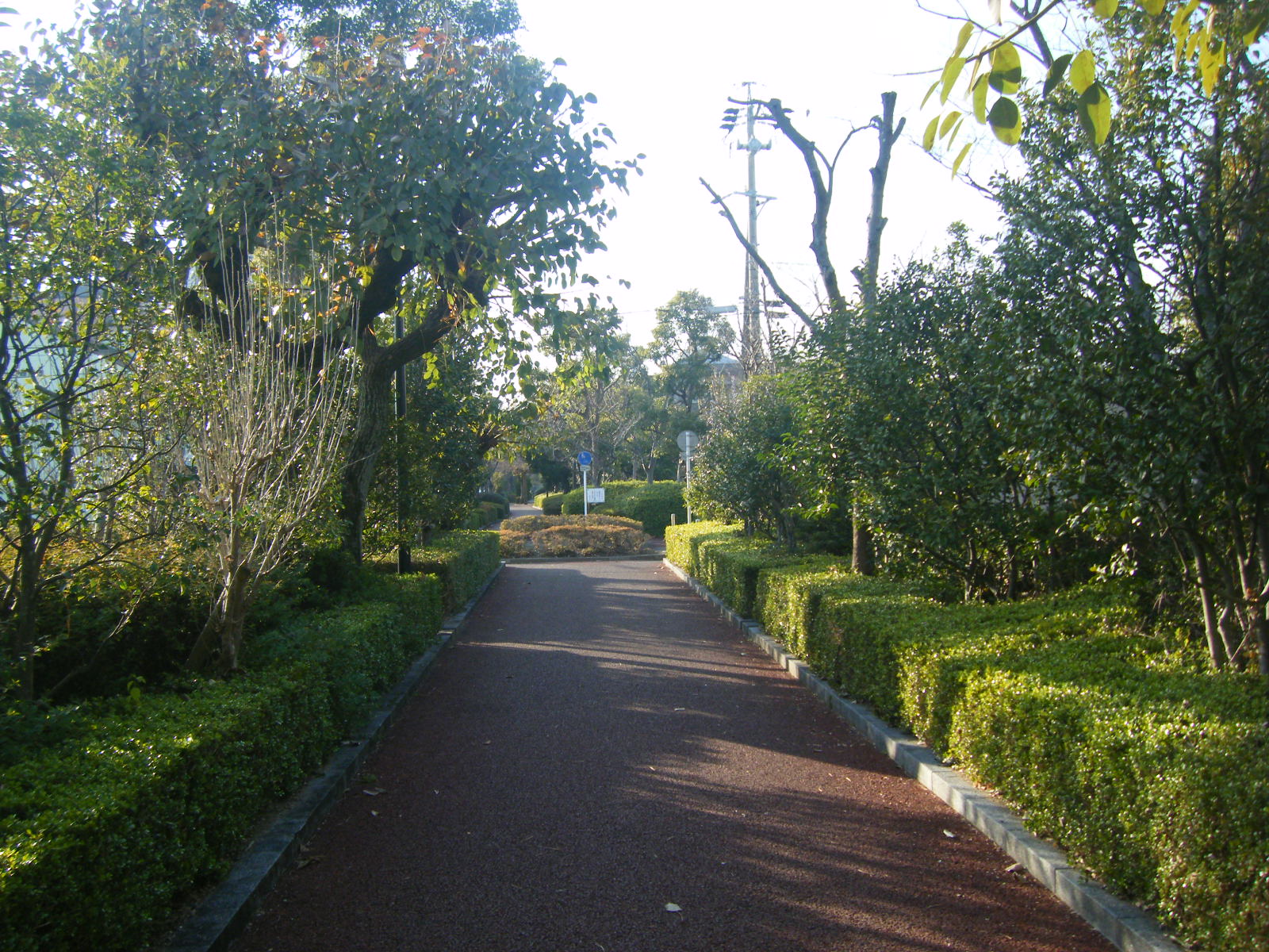 park. 432m to Kobe park (park)