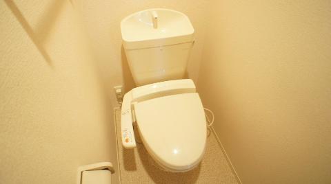 Toilet. Toilet with shower