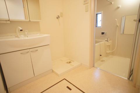 Other room space. Dressing room