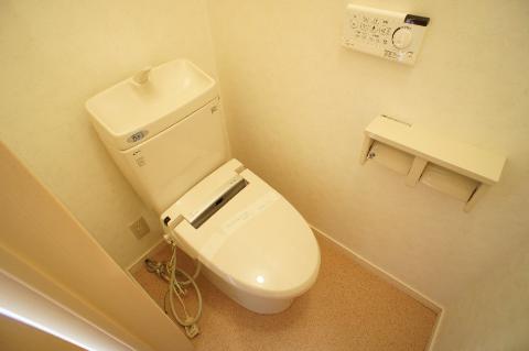 Toilet. Toilet with shower