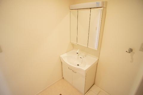 Washroom. Bathroom Vanity