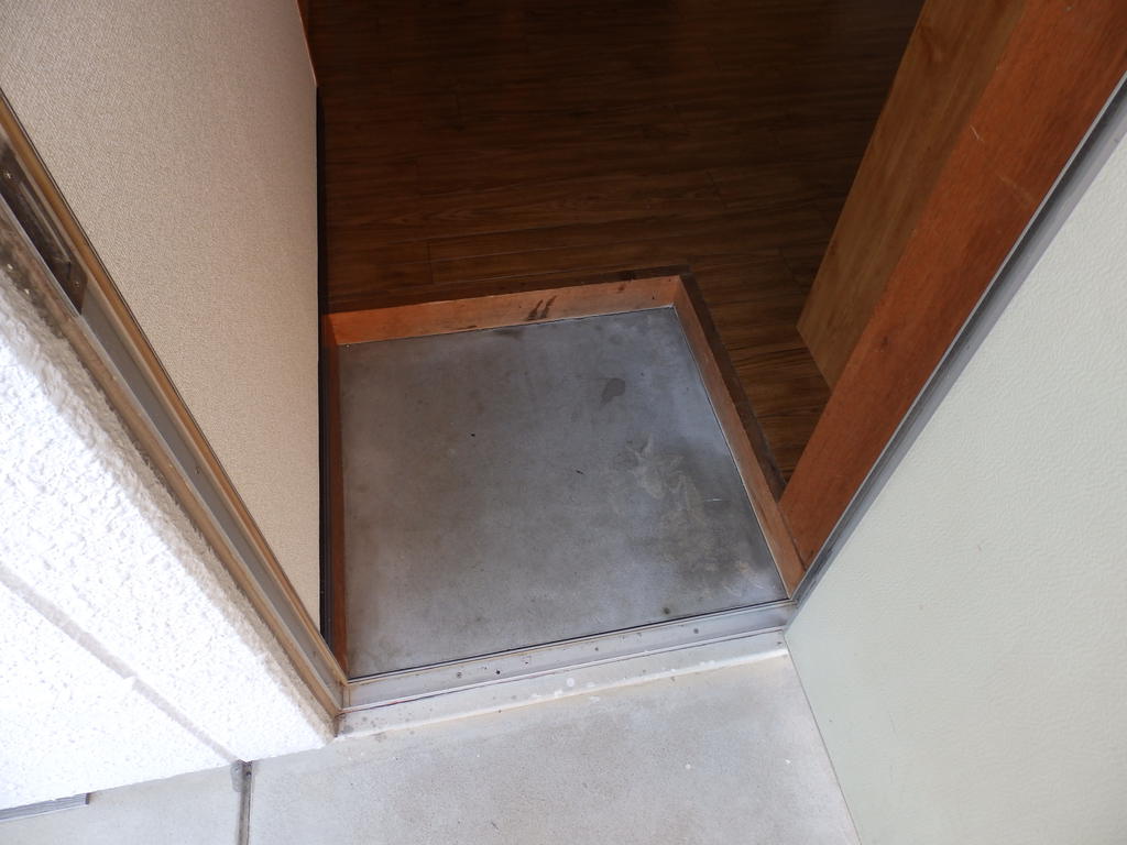 Entrance. Flat entrance