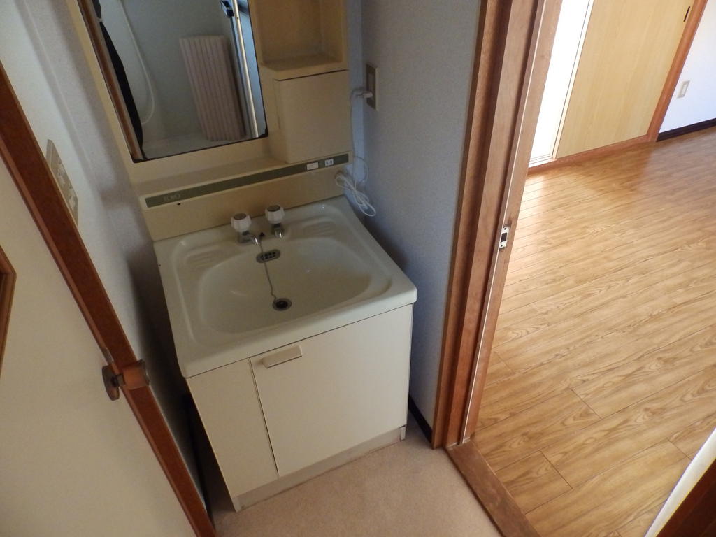 Washroom. Washroom with door
