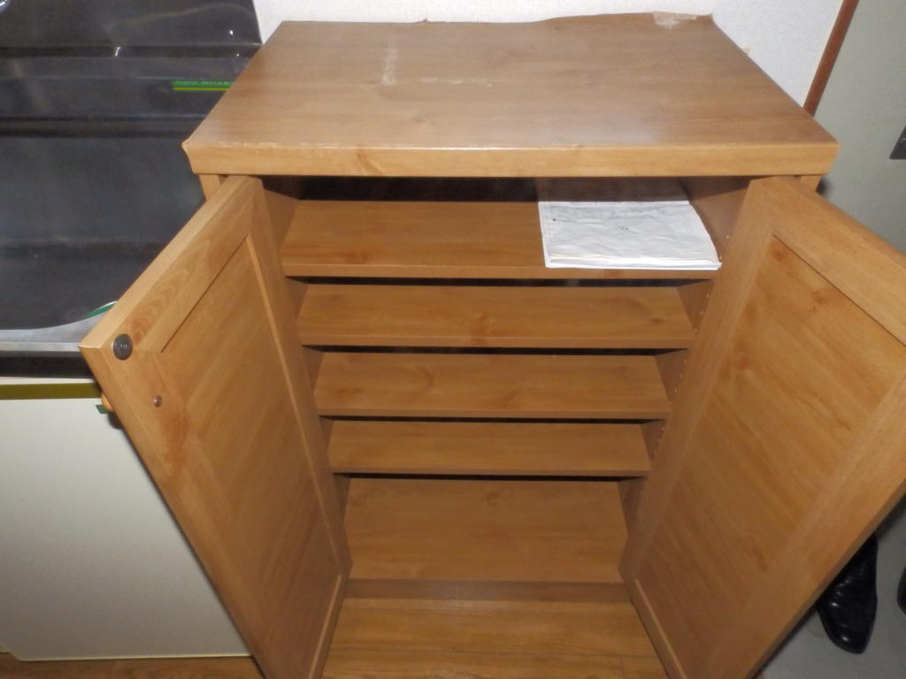 Entrance. With shoe box