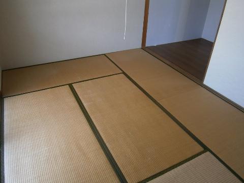 Living and room. Japanese style room