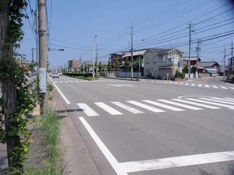 Local photos, including front road. East towards the front road