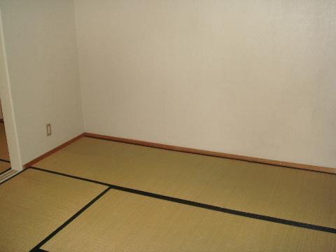 Living and room. Japanese style room