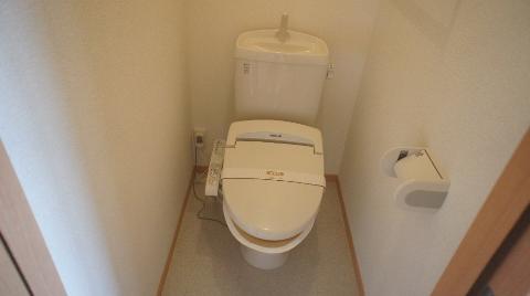 Toilet. WC