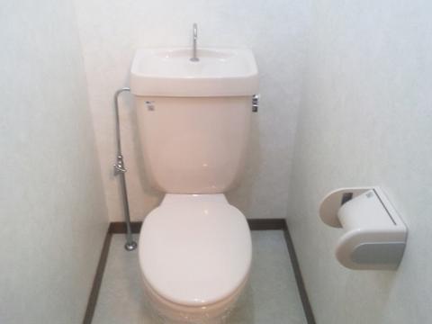 Toilet. WC