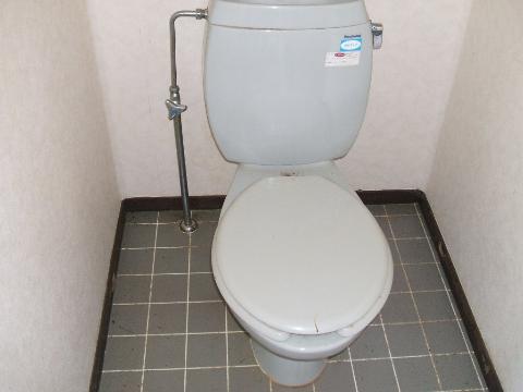 Toilet. WC