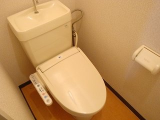 Toilet. WC