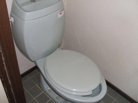 Toilet. WC