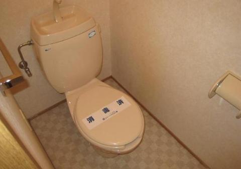 Toilet. WC