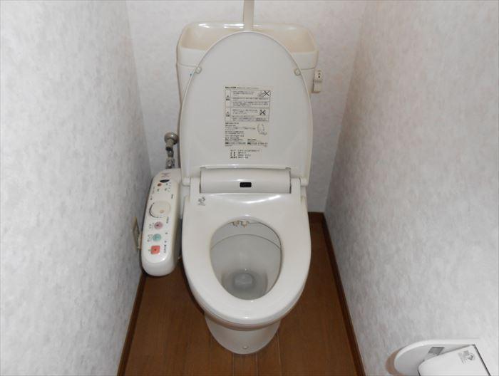 Toilet. Toilet new