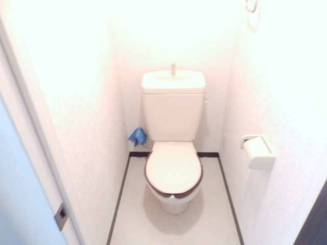 Toilet. Bright toilet (* ^ _ ^ *)