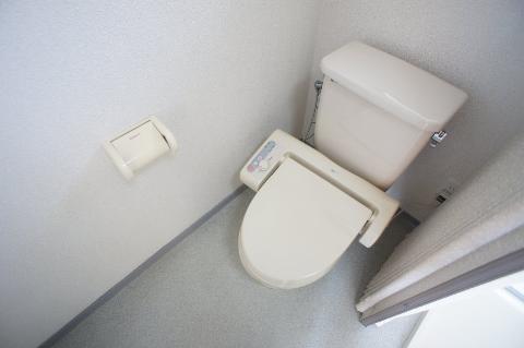 Toilet. WC