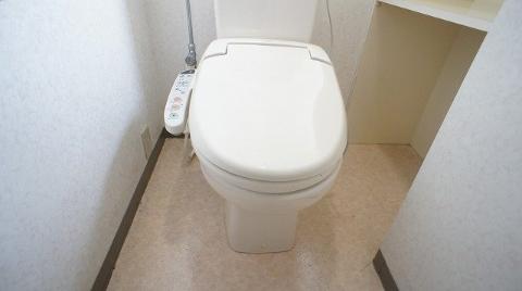 Toilet. WC