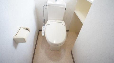 Toilet. WC