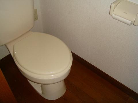 Toilet. WC