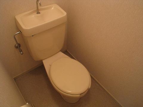 Toilet. WC