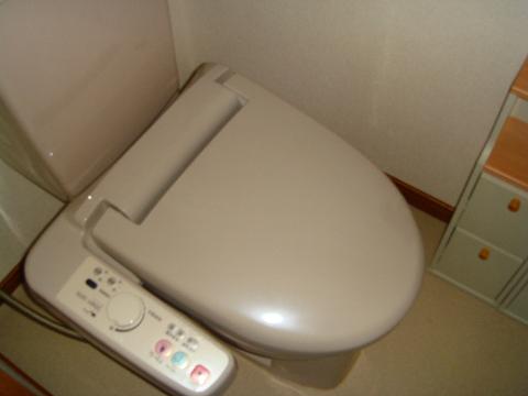 Toilet. Toilet with shower