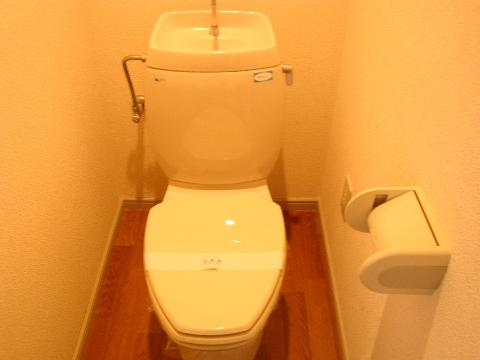 Toilet. WC