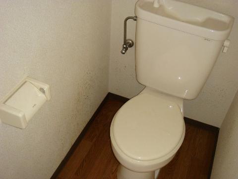 Toilet. WC