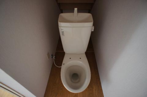 Toilet. WC