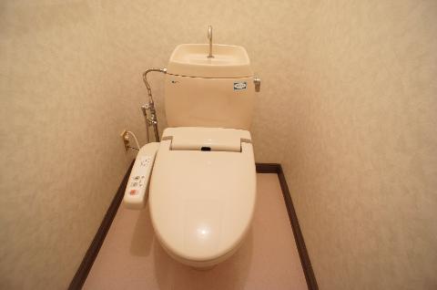 Toilet. WC