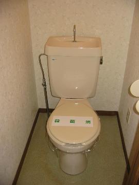 Toilet. WC