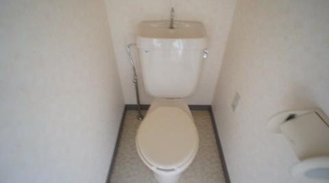 Toilet. WC