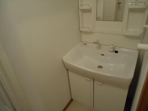 Washroom. Bathroom Vanity