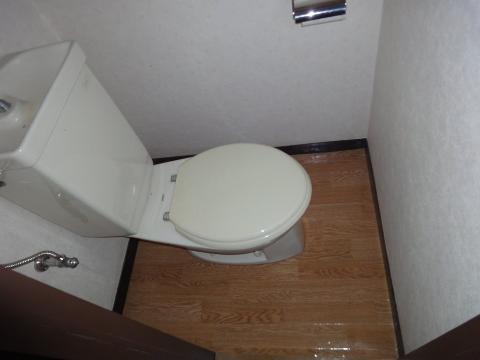 Toilet. WC