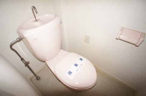 Toilet. WC