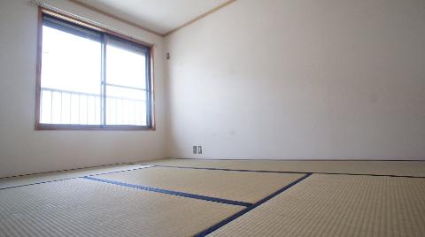 Living and room. Japanese style room