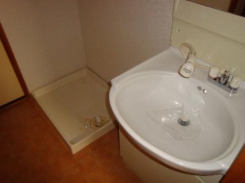 Washroom. Bathroom Vanity