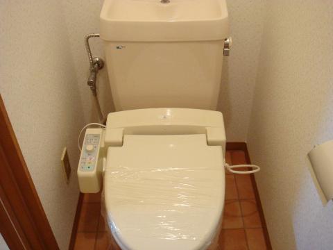 Toilet. Toilet with shower