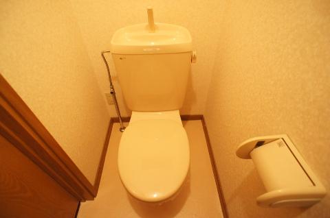 Toilet. WC