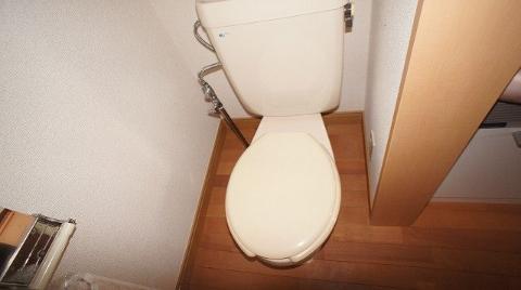 Toilet. WC